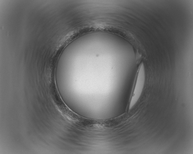 X0000076060496200610201952