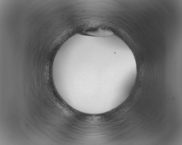 X0000076060497200610201952