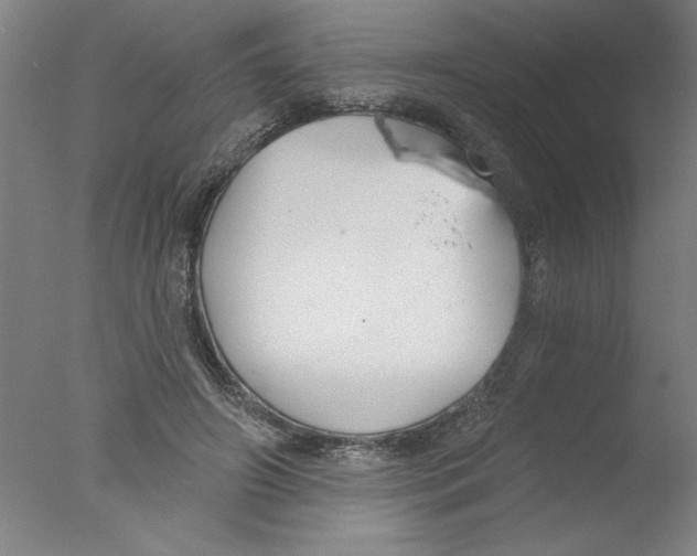 X0000076060498200610201952