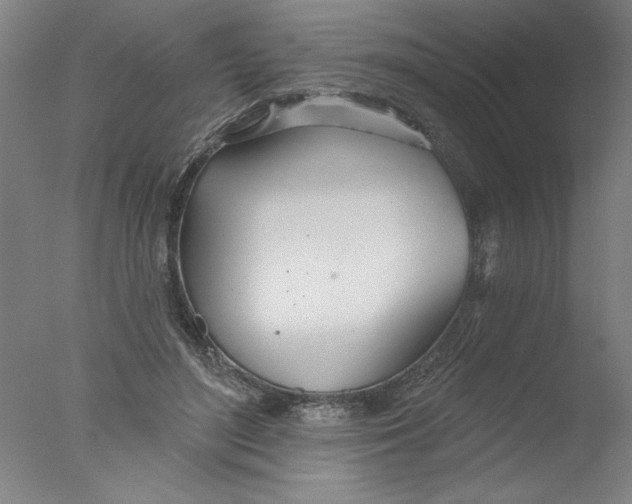 X0000076060500200610201952