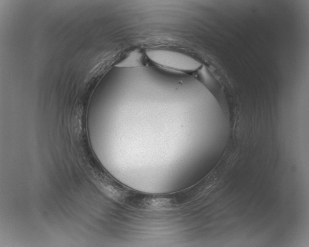 X0000076060501200610201952