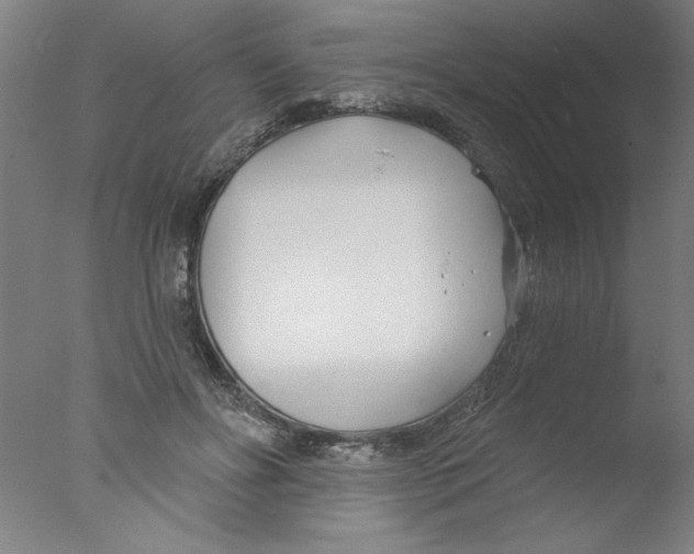 X0000076060502200610201952