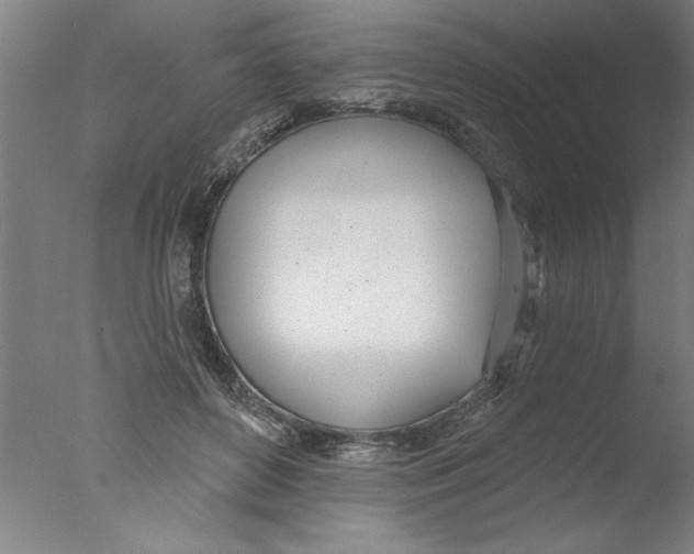 X0000076060504200610201952