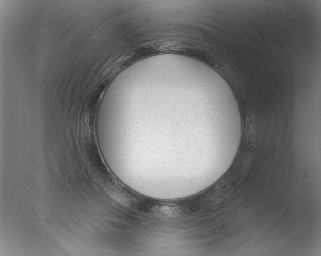 X0000076060506200610201952