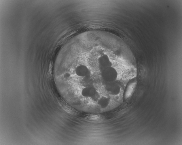 X0000076060507200610201951