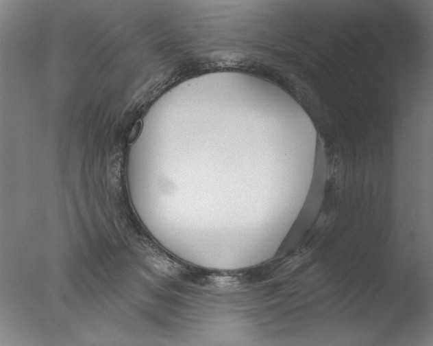 X0000076060509200610201951