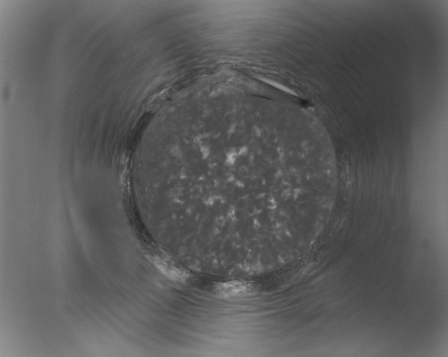 X0000076060511200610201951