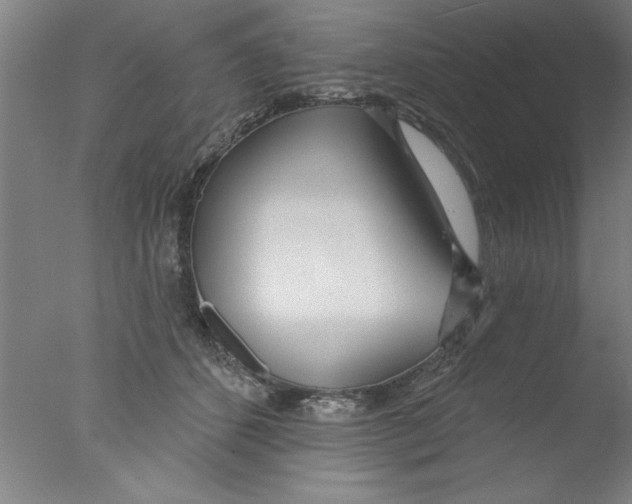 X0000076060512200610201951