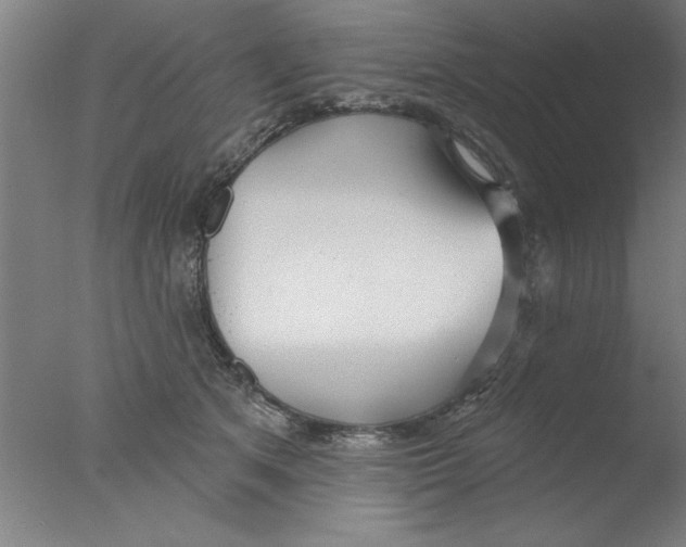 X0000076060513200610201951