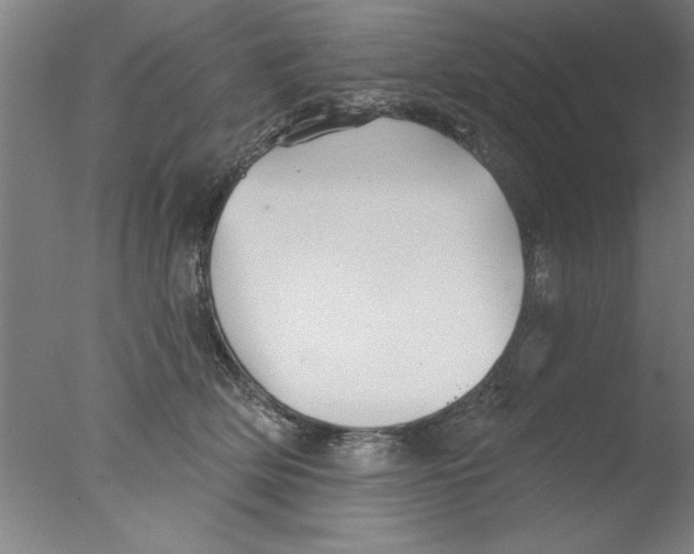 X0000076060514200610201951