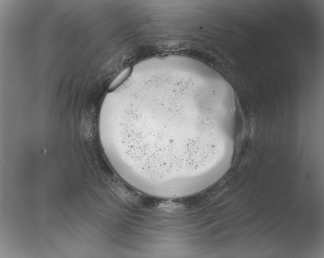 X0000076060515200610201951