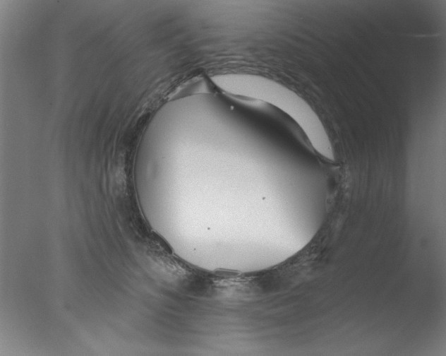 X0000076060516200610201951