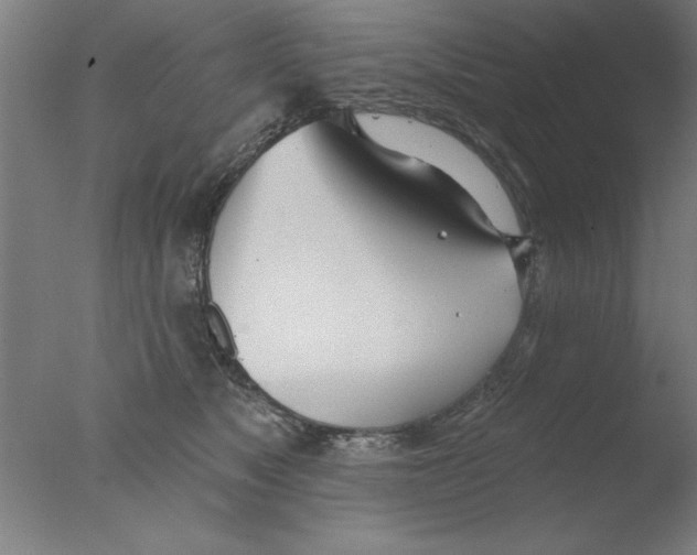 X0000076060517200610201951