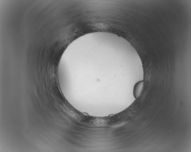 X0000076060518200610201951