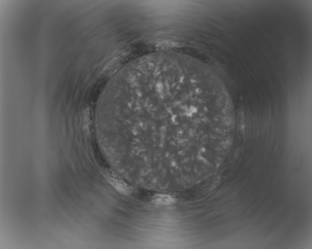 X0000076060519200610201951