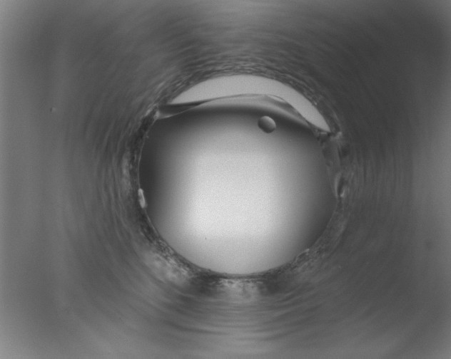 X0000076060520200610201951