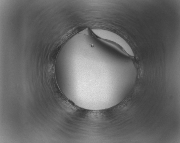 X0000076060521200610201951