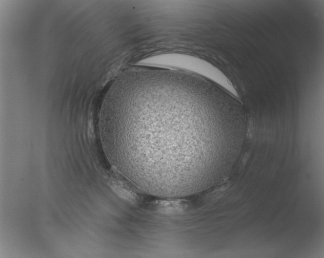 X0000076060524200610201951