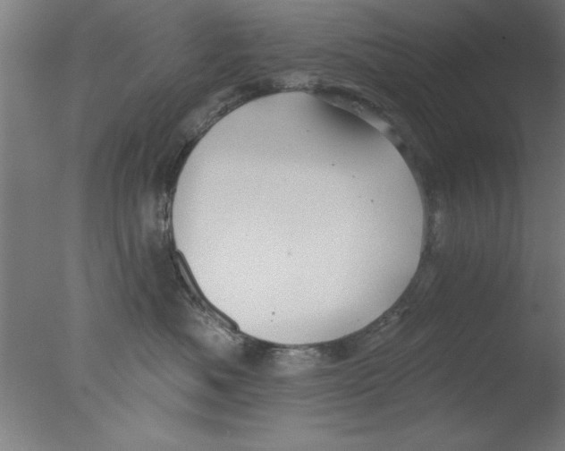 X0000076060525200610201951