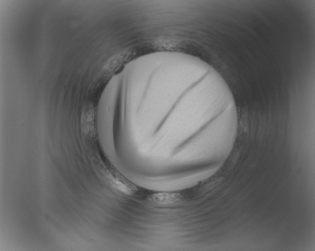 X0000076060526200610201951