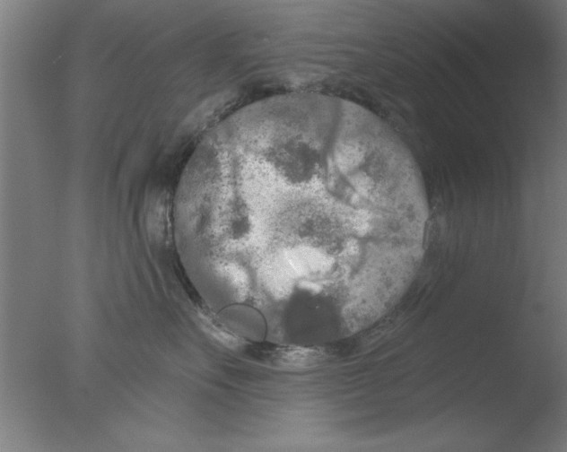 X0000076060527200610201951