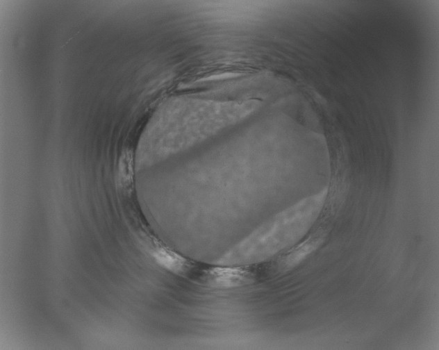 X0000076060528200610201951