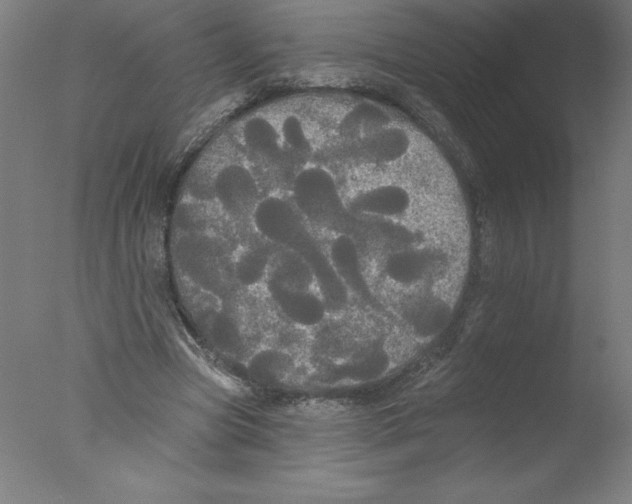 X0000076060537200610201950