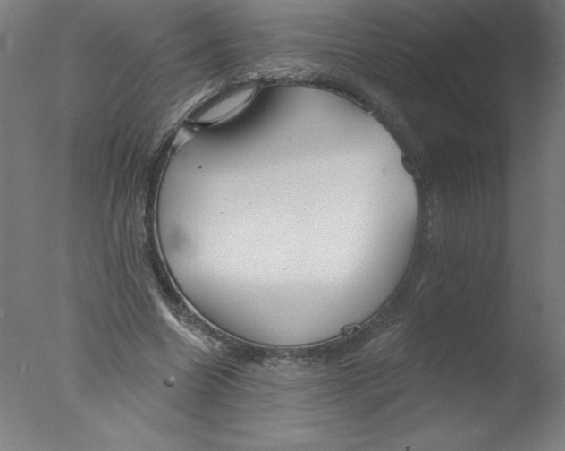 X0000076060538200610201950