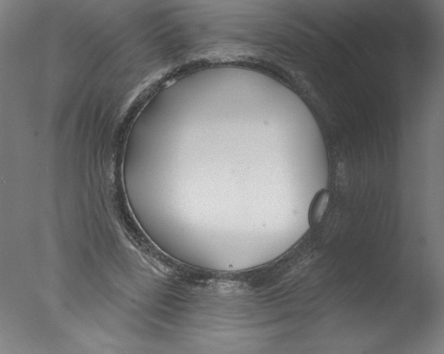 X0000076060539200610201950