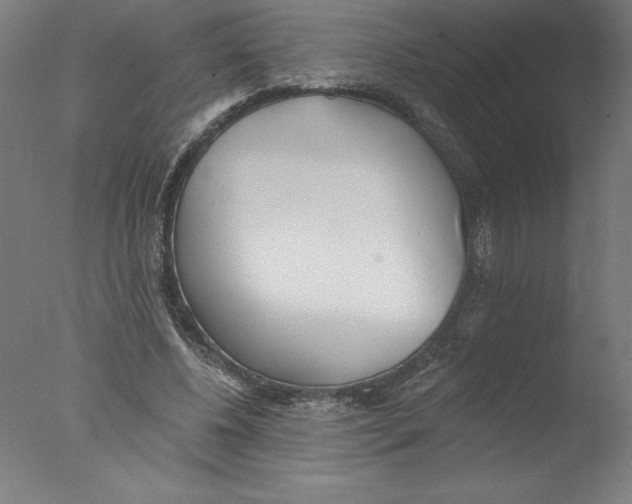 X0000076060540200610201951