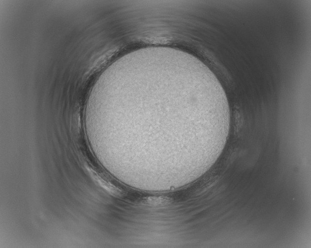 X0000076060541200610201951