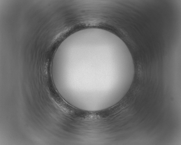 X0000076060543200610201951