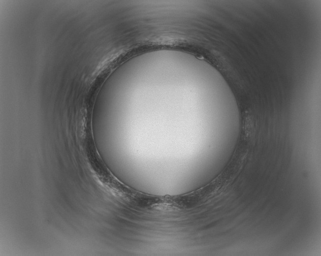 X0000076060544200610201951