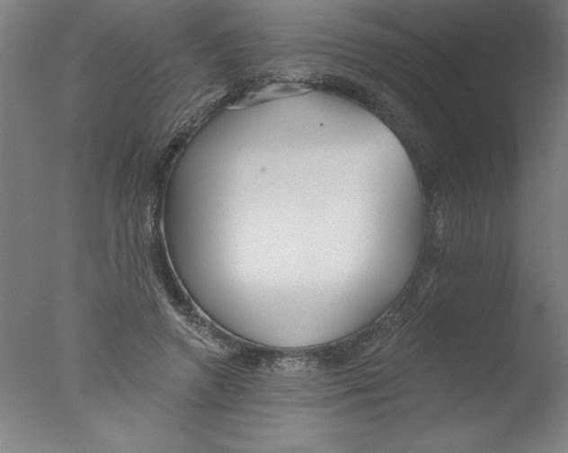 X0000076060546200610201951