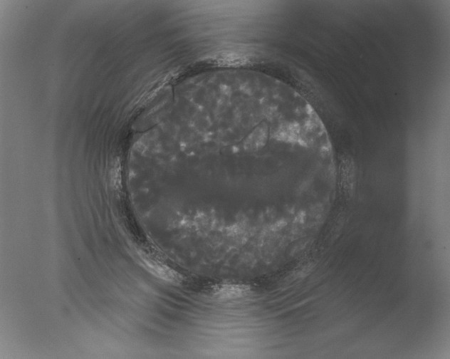 X0000076060549200610201951