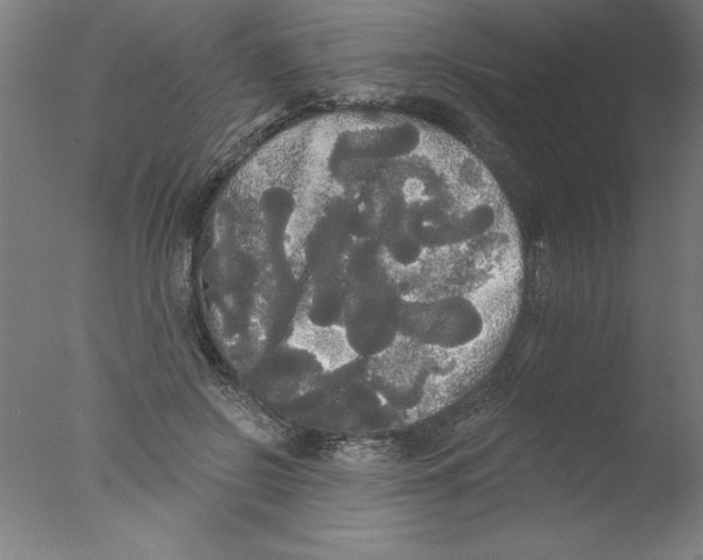 X0000076060550200610201951