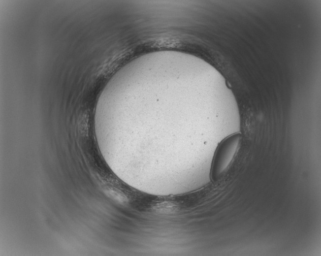 X0000076060551200610201951