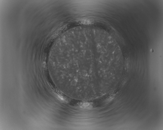 X0000076060553200610201951