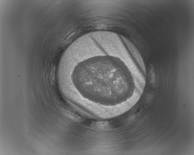 X0000076060554200610201951