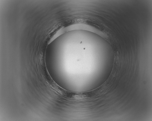 X0000076060556200610201951