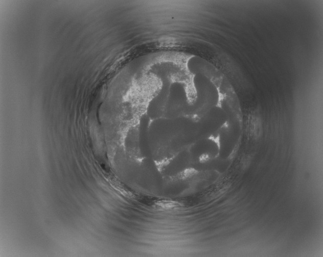 X0000076060557200610201951