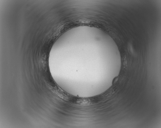 X0000076060559200610201951