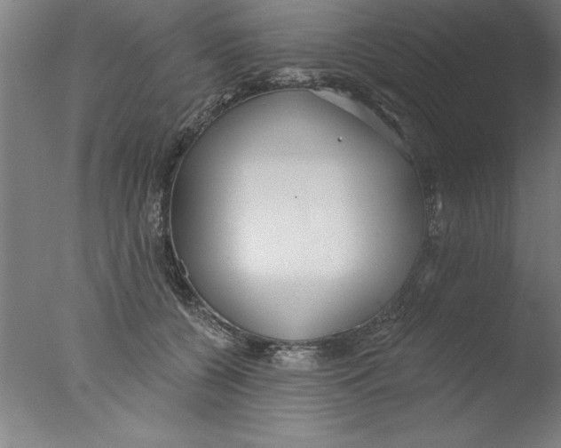 X0000076060560200610201951