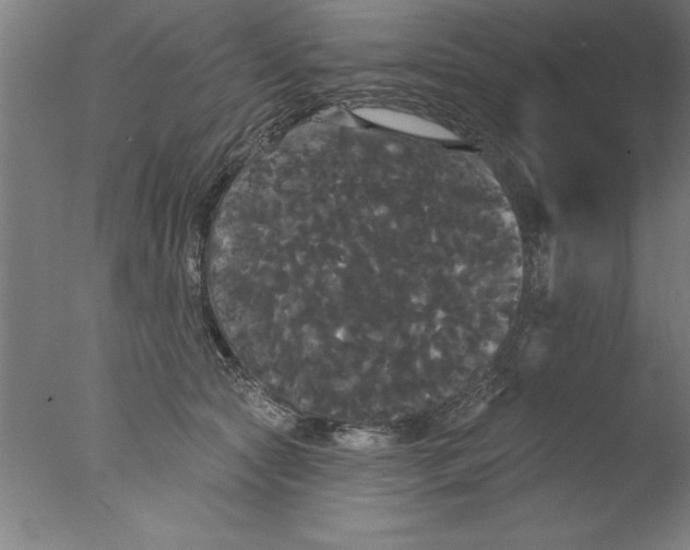 X0000076060561200610201951