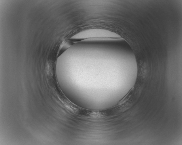 X0000076060562200610201951