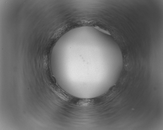 X0000076060563200610201951