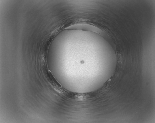 X0000076060564200610201951