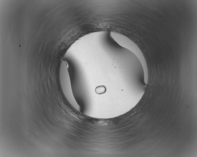 X0000076060566200610201951