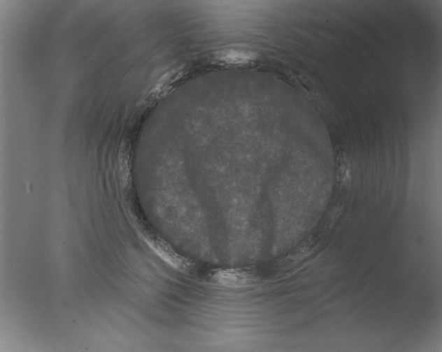 X0000076060568200610201951