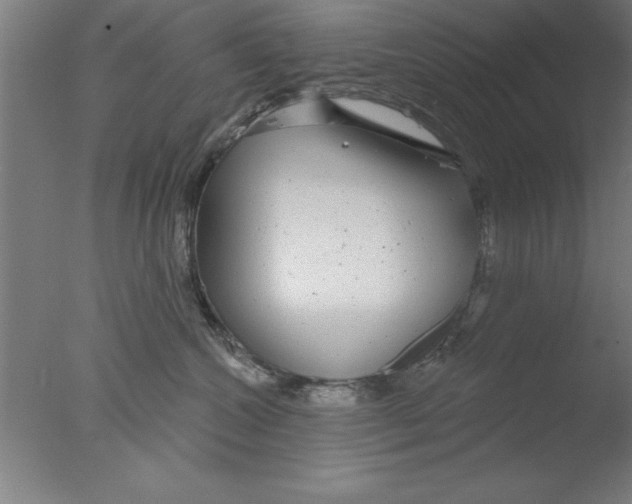 X0000076060572200610201951